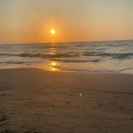 Sueños En La Playa